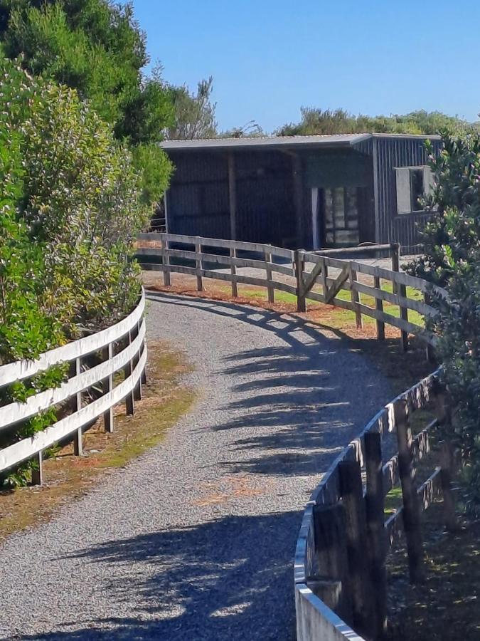 Koru Beachfront Holiday Cabins & Hot Tub Barrytown Esterno foto
